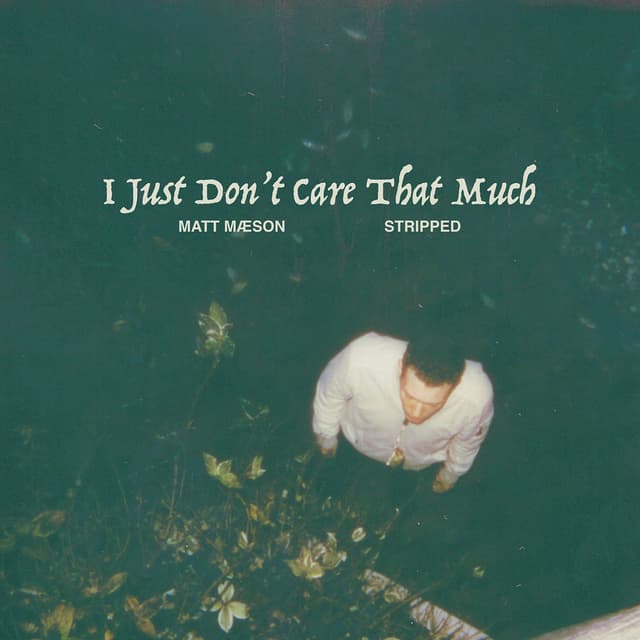 I Just Don't Care That Much (Stripped) cover
