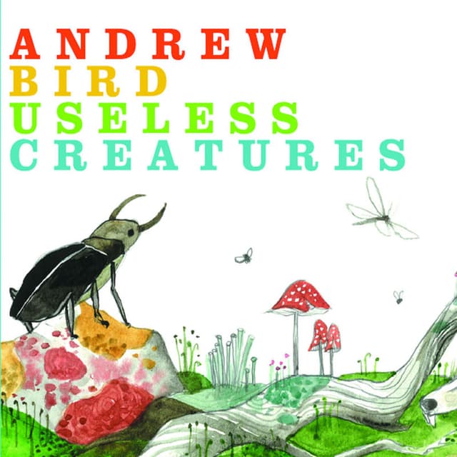 Useless Creatures cover