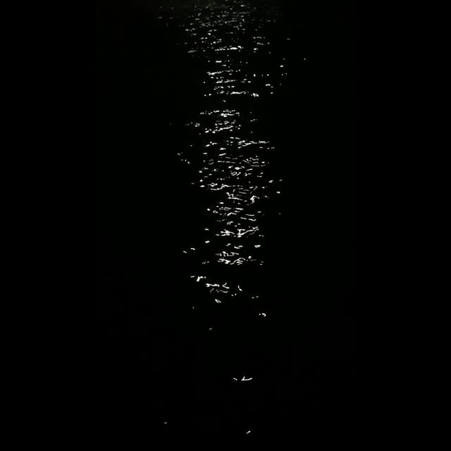 Not Dark Yet album cover