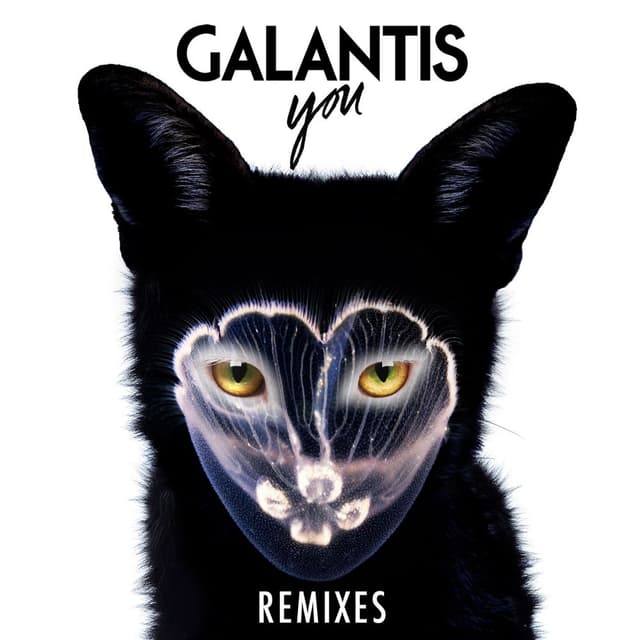 You Remixes cover