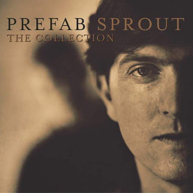 The Collection cover