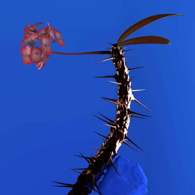 Skin Companion EP II cover