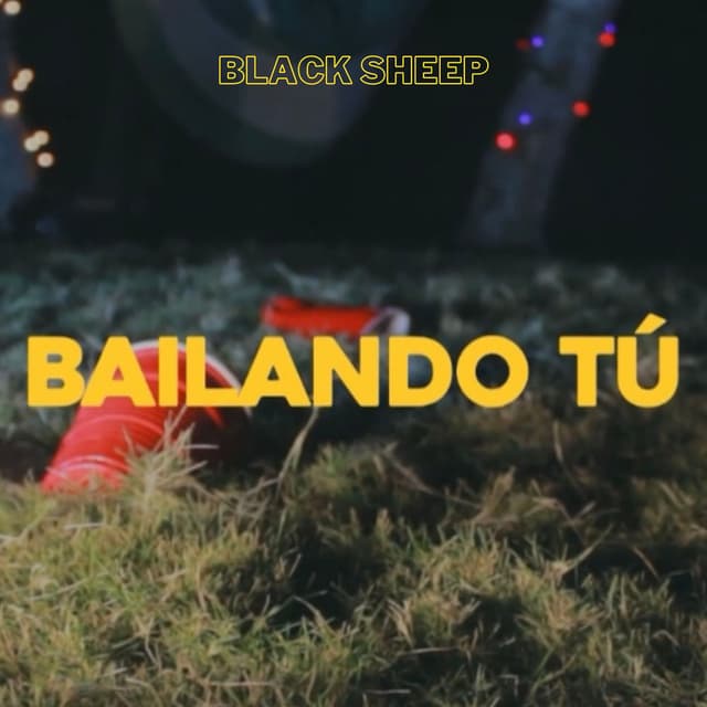 Bailando Tu cover