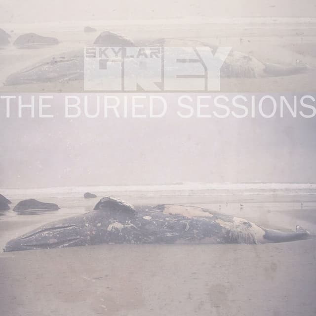 The Buried Sessions of Skylar Grey cover