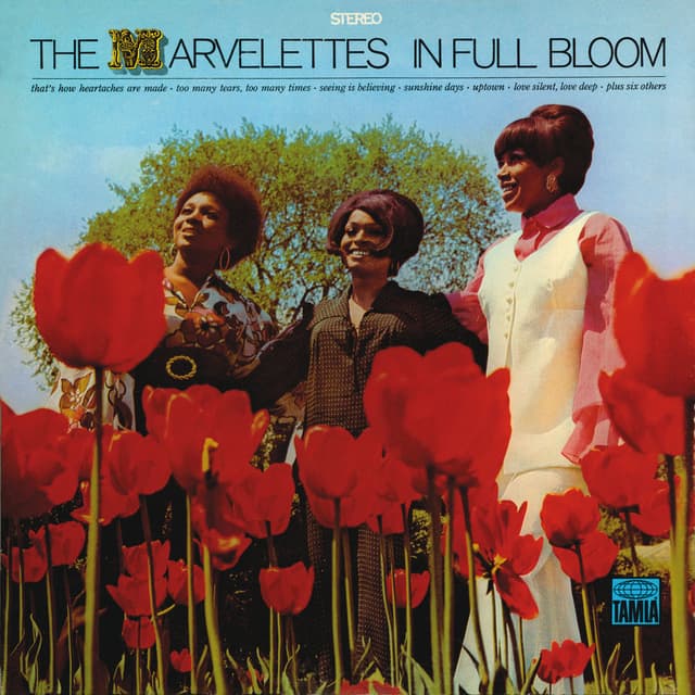 In Full Bloom cover