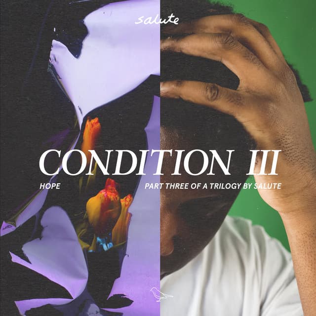 Condition III cover