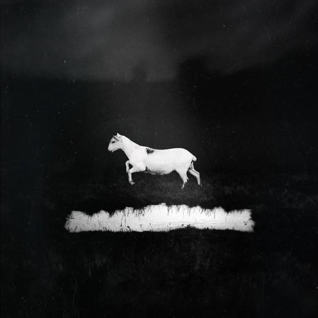 Prédateurs album cover