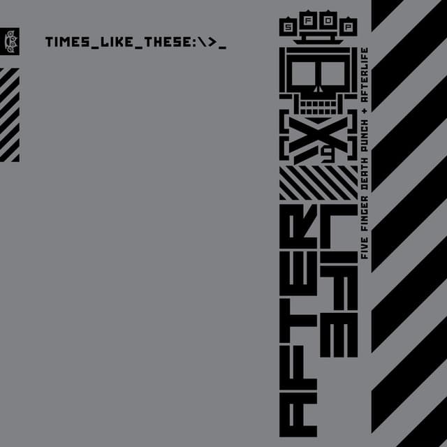 Times Like These album cover