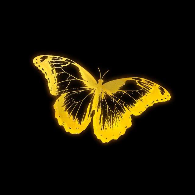 SHINE (golden hour sample) cover