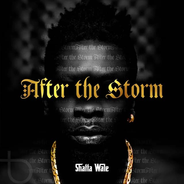 After the Storm cover