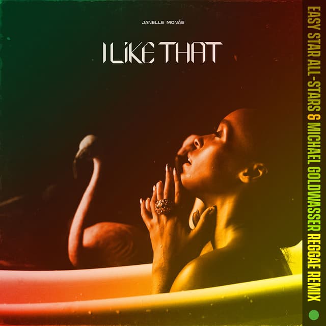 I Like That (Easy Star All-Stars & Michael Goldwasser Reggae Remix) cover