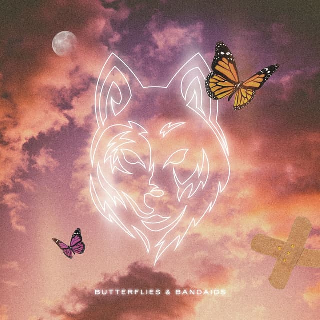 Butterflies & Bandaids cover