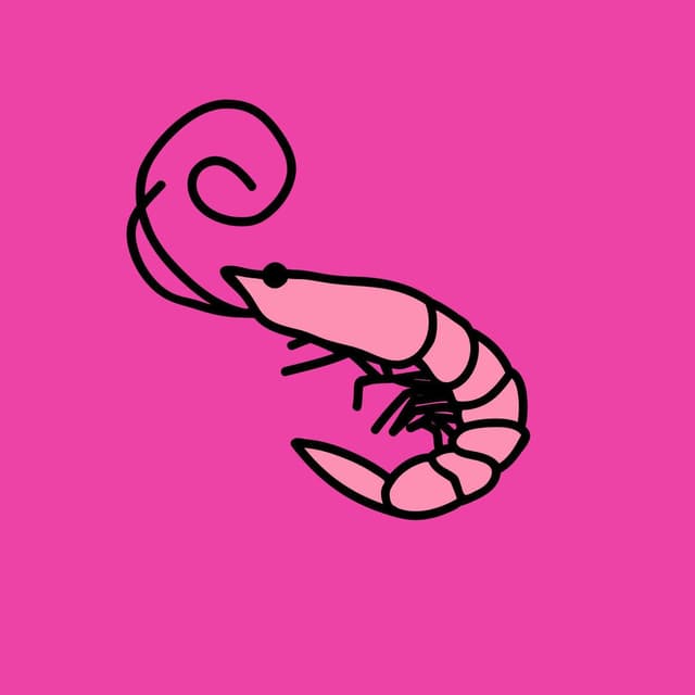Flamingo cover