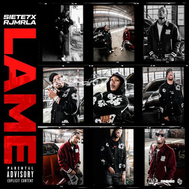 Lame cover