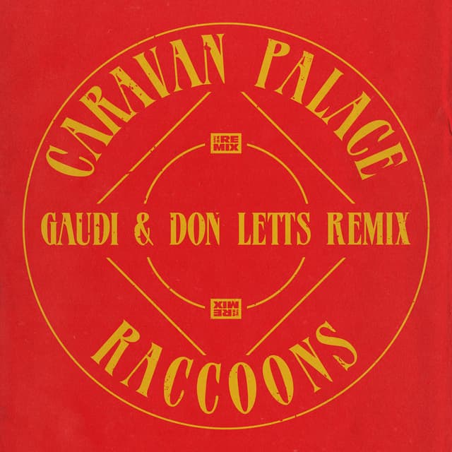 Raccoons (Gaudi & Don Letts Remix) cover