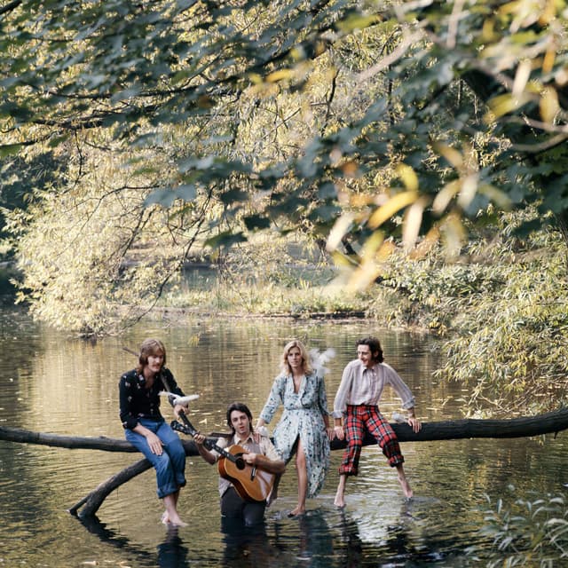 Wild Life cover