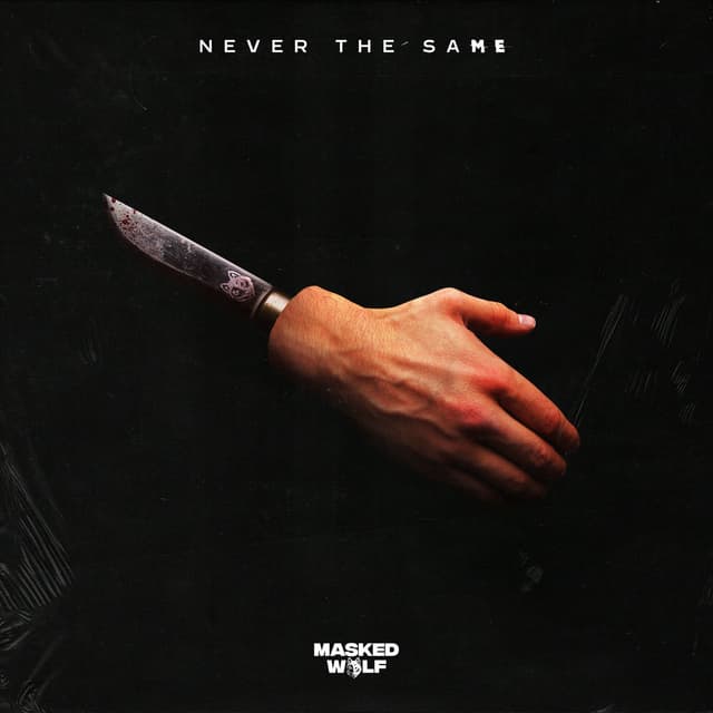 Never The Same cover