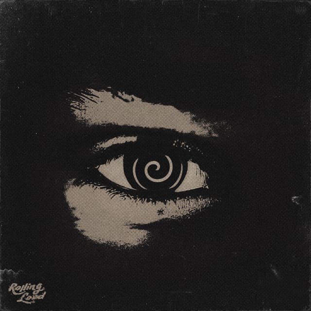 Spin cover