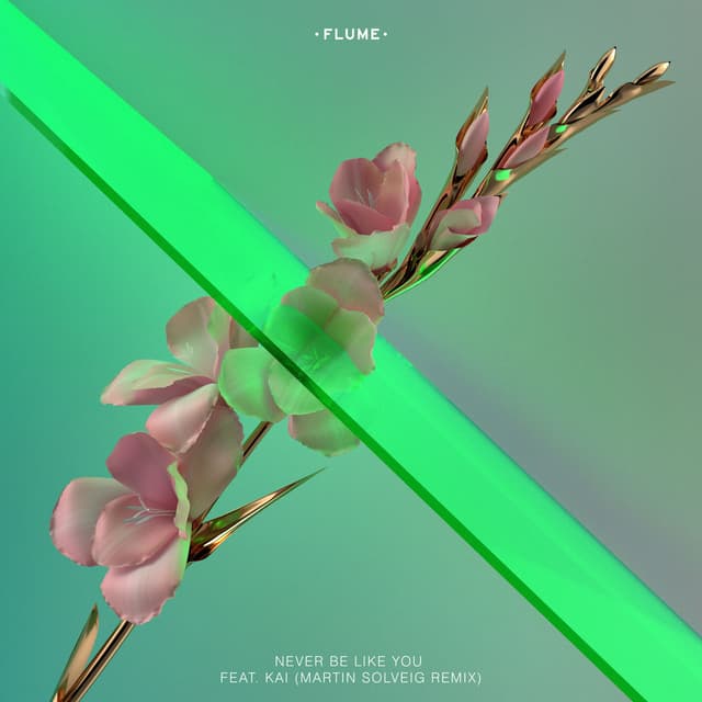 Never Be Like You (Martin Solveig Remix) cover