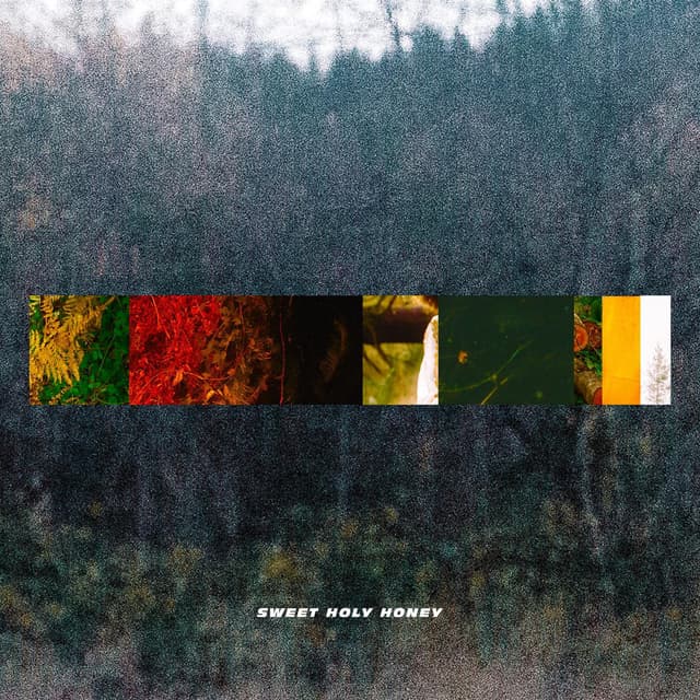 Sweet Holy Honey cover