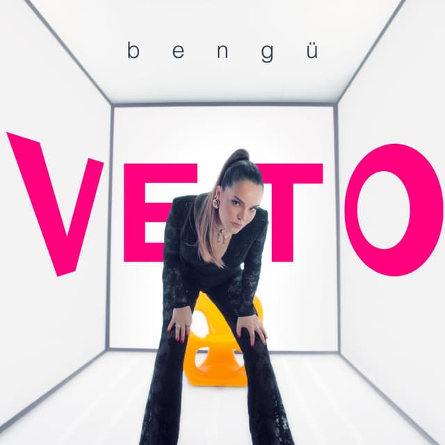Veto cover