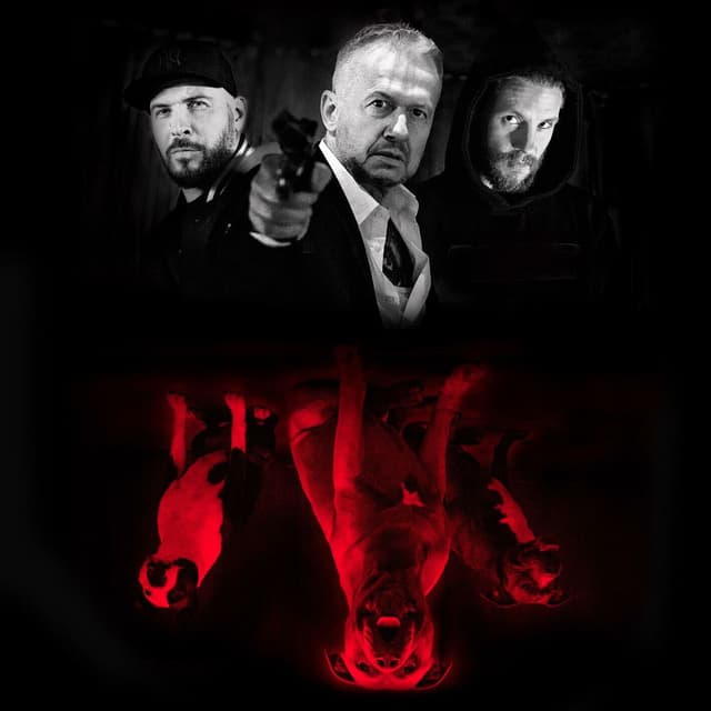 Psy. W imię zasad cover