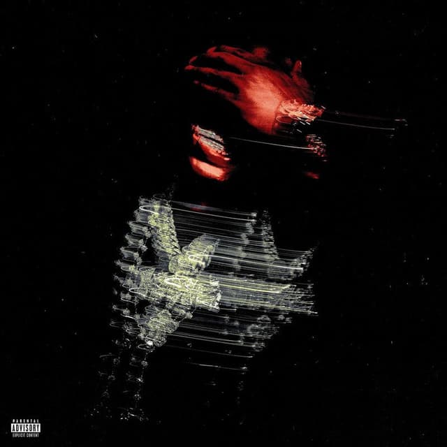 WTHELLY cover