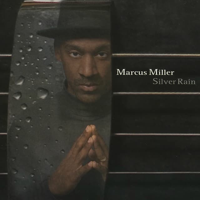 Silver Rain cover