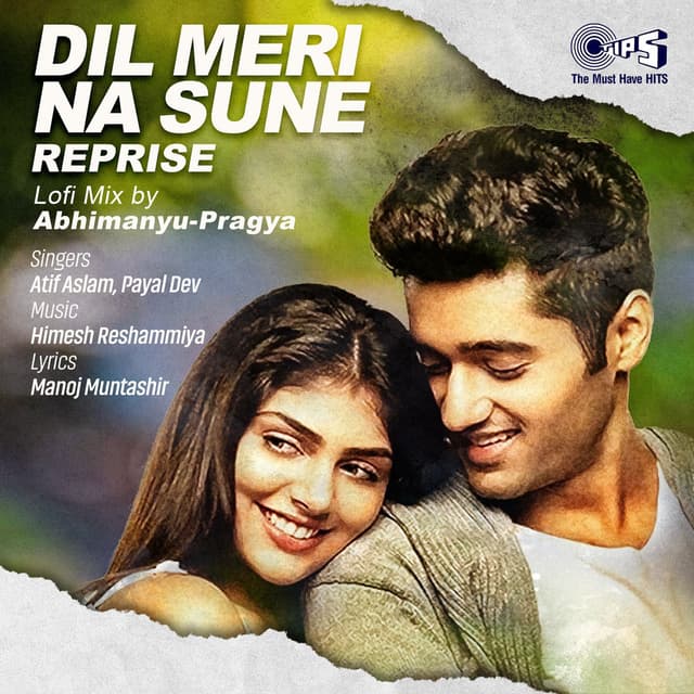 Dil Meri Na Sune Reprise (Lofi Mix) cover