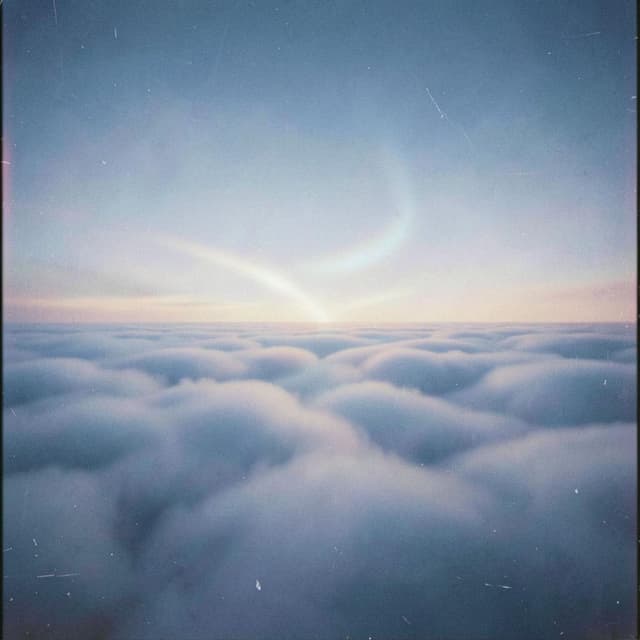 Organic ambient cover