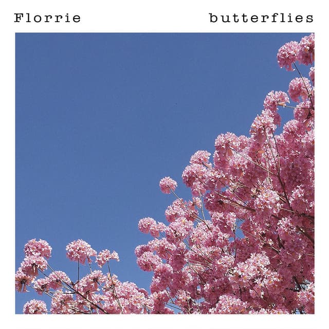 Butterflies cover