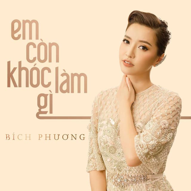 Em Còn Khóc Làm Gì cover
