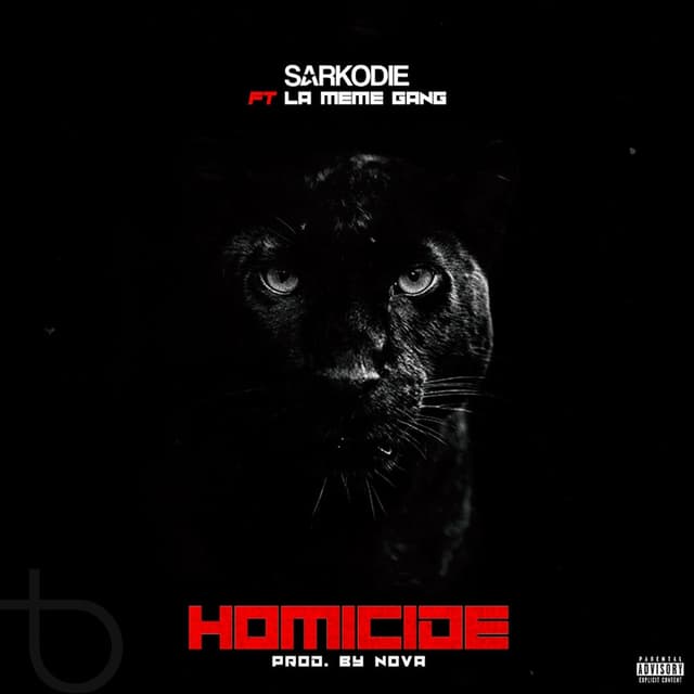 Homicide cover