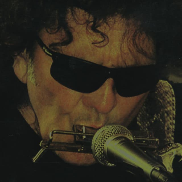 The Shine cover