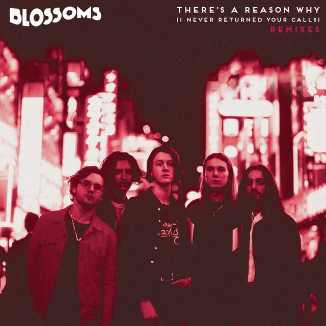 There's A Reason Why (I Never Returned Your Calls) (Remixes) cover