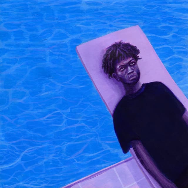 diving board cover