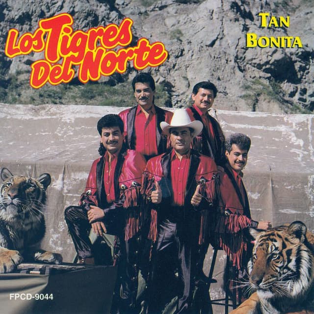 Tan Bonita cover