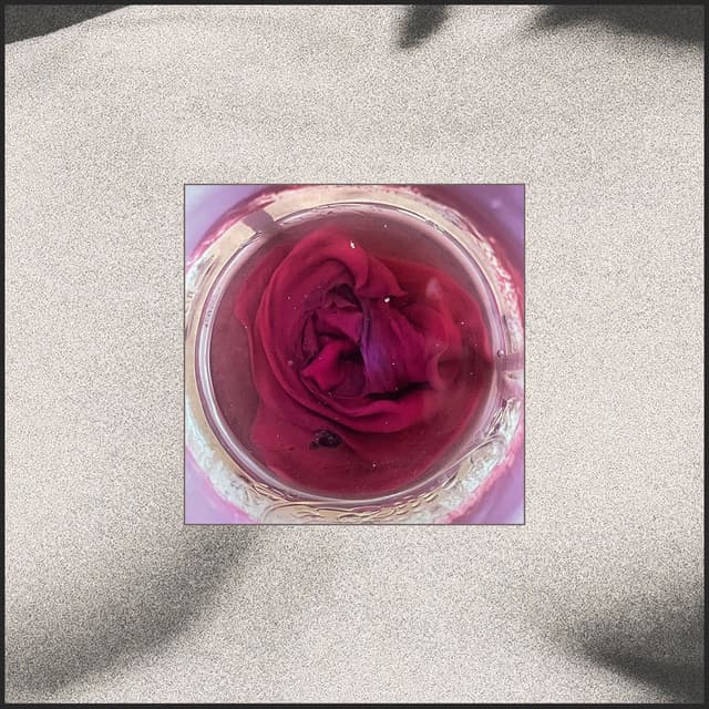 Undo (Your Body) cover