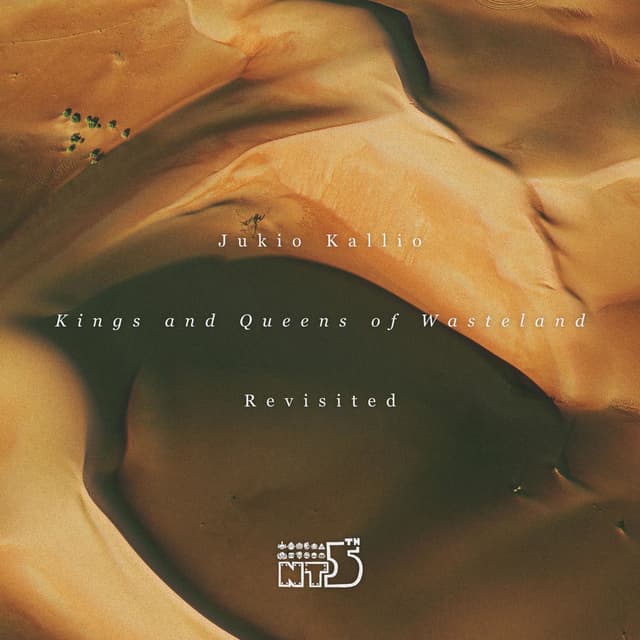 Kings and Queens of Wasteland Revisited cover