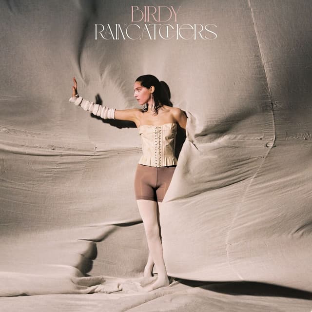 Raincatchers cover