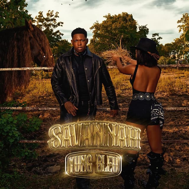 Savannah cover