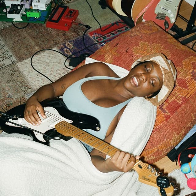 Ribs cover