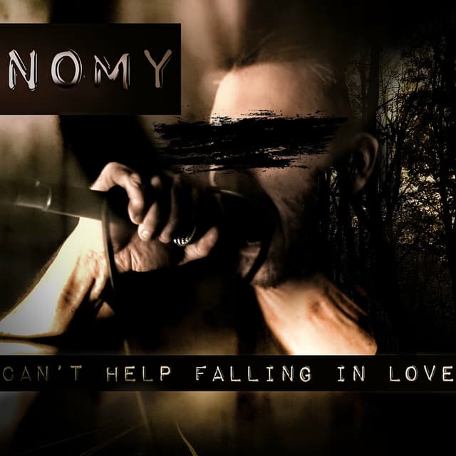 Can't help falling in love cover