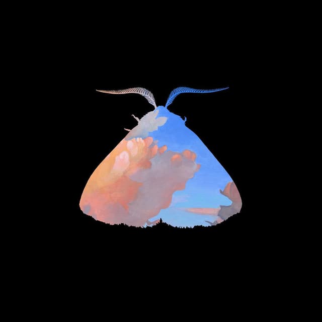 Moth to the Flame cover