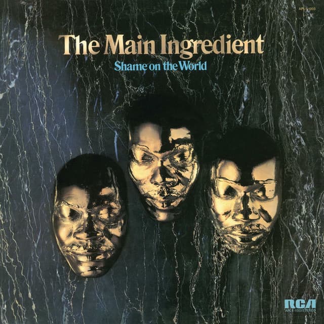 Shame on the World cover