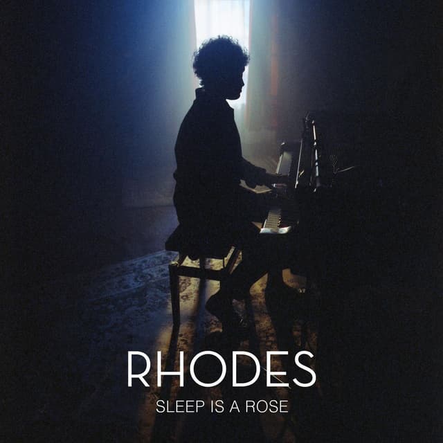 Sleep Is a Rose cover