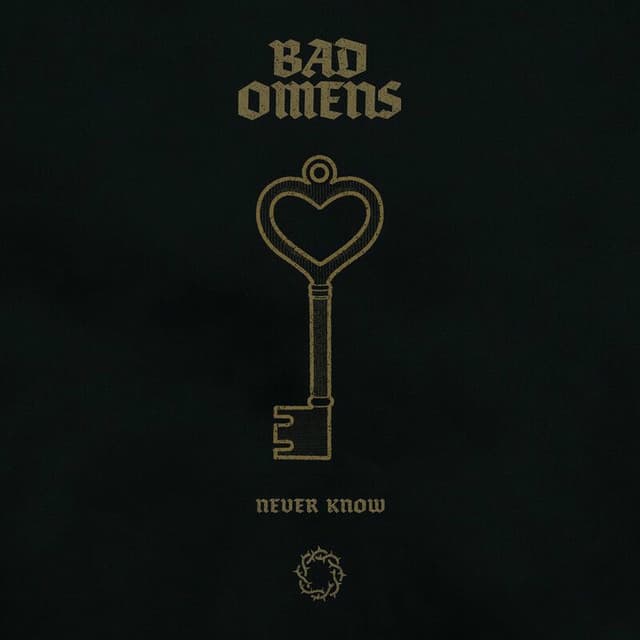 Never Know (Live) cover