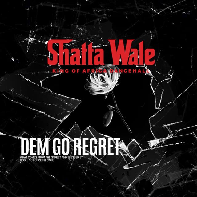 Dem Go Regret cover