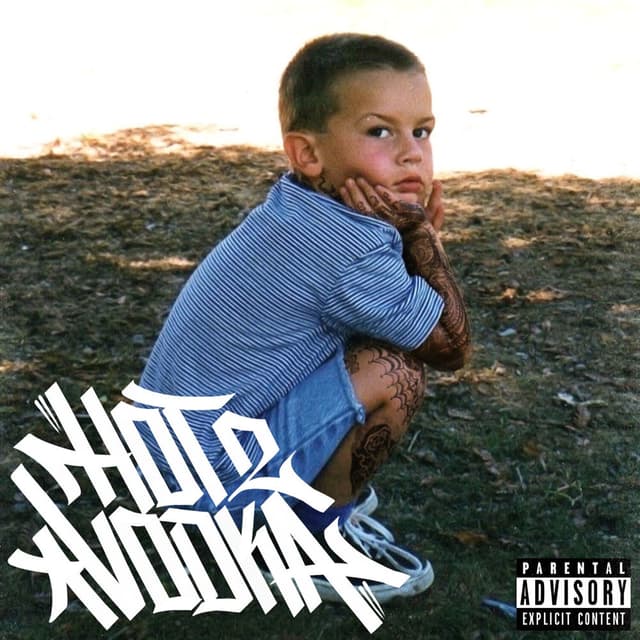 HOT VODKA 2 album cover