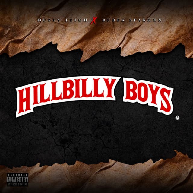 Hillbilly Boys cover
